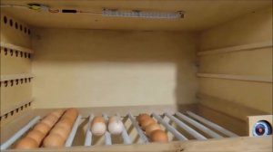 Инструкция для инкубатора ИФ 672. Инкубатор фермерский
