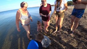 Огромная медуза на пляже привлекла внимание туристов