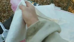 Как правильно в одном улье две семьи для зимовки разместить!!! Ч. 1 Украинский улей. 19.10.2019