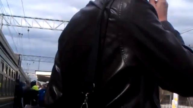 Накрыв собаки смотреть онлайн