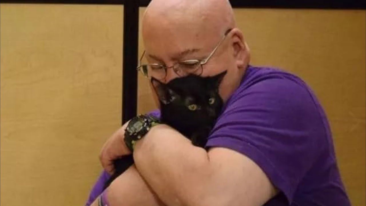 Мужчина приютил брошенного котенка. Через 3 дня кот спас ему жизнь! смотреть онлайн