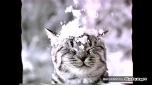 whiskas новый год 2004-2005 реклама