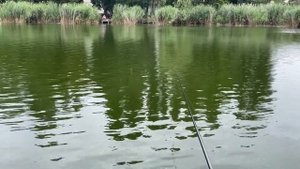 Рыбалка в Любимовке Отчет о рыбалке 25 07 2022