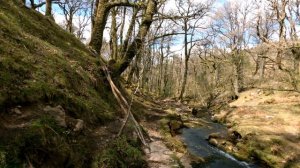 Dartmoor National park | 4K Double Waterfall in Venford