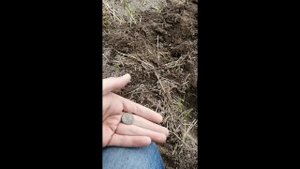 Вот это коп! Teknetics alpha 2000