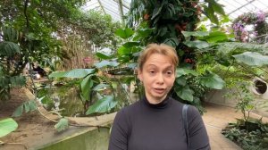 Фестиваль орхидей в Kew garden