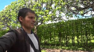 Царское село