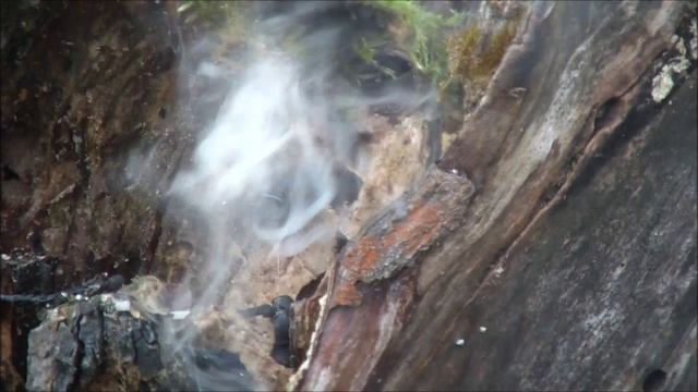 Самоделка. Но красива. смотреть онлайн