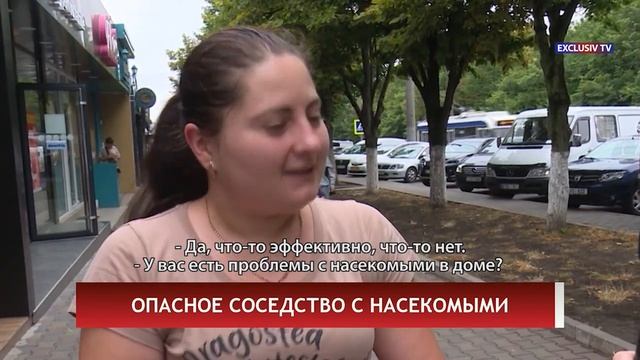 ОПАСНОЕ СОСЕДСТВО С НАСЕКОМЫМИ смотреть онлайн