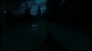 Can 17 year old S.T.A.L.K.E.R. game look any better? New Anomaly Custom looks phenomenal!