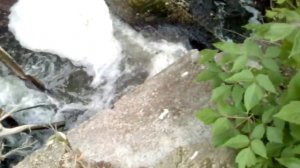 Допотопная плотина Вятичей рядом с с.Дедилово