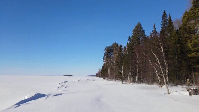 Зимняя рыбалка в Карелии | Аэролодка "Рыжий Кот" смотреть онлайн