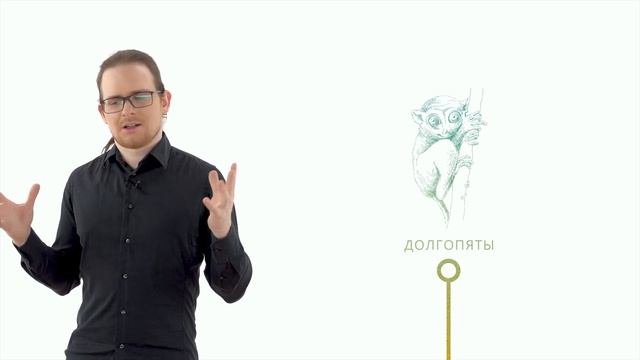 2. Происхождение приматов. Происхождение человека - 10