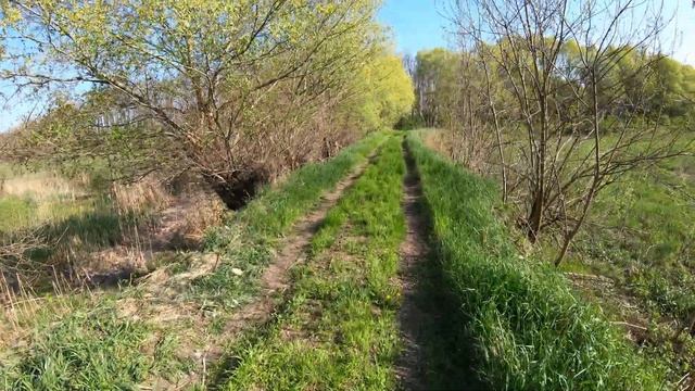 Первая акация, состояние на 30.04.2021 год. смотреть онлайн
