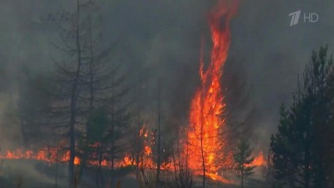 В Красноярском крае удалось справиться с природным пожаром, в том числе с помощью авиации