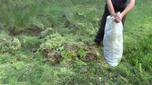 Заготавливаем Мох сфагнум. Сруб своими руками. Часть 6.