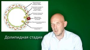 АТЕРОСКЛЕРОЗ