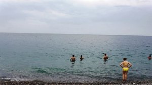 Отдых в Абхазии | Дельфины в море