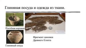 История 5 класс. § 4 . Возникновение земледелия и скотоводства.