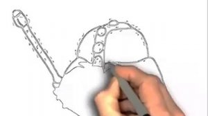 Angry birds epic coloring