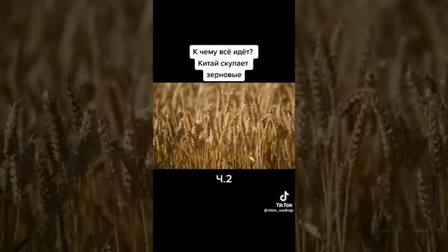 К чему всë идëт, почему Китай? часть 2