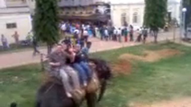 Riding an elephant in Mysore смотреть онлайн