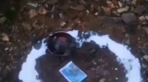 😱 Петух без головы и миска с кровью #какойто_обряд #владивосток