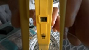 Какую воду полезно пить  А Свердляченко