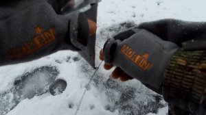 А где лёд? Зимняя рыбалка | ЧЕРЕМШАНА | Белоярское водохранилище