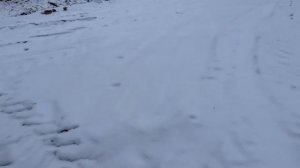 Yokohama geolandar m/t g003 in the snow  по снегу