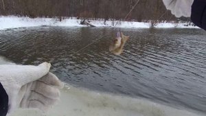 Февральская прогулка со спиннингом, на ультралайт.