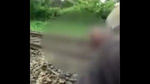 В Индии поезд сбил слона / Видео с места