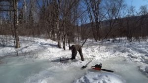 ДЕЛАЮ ТУШЕНКУ С МЕДВЕДЯ, ШЛИФУЮ БРЕВНА.