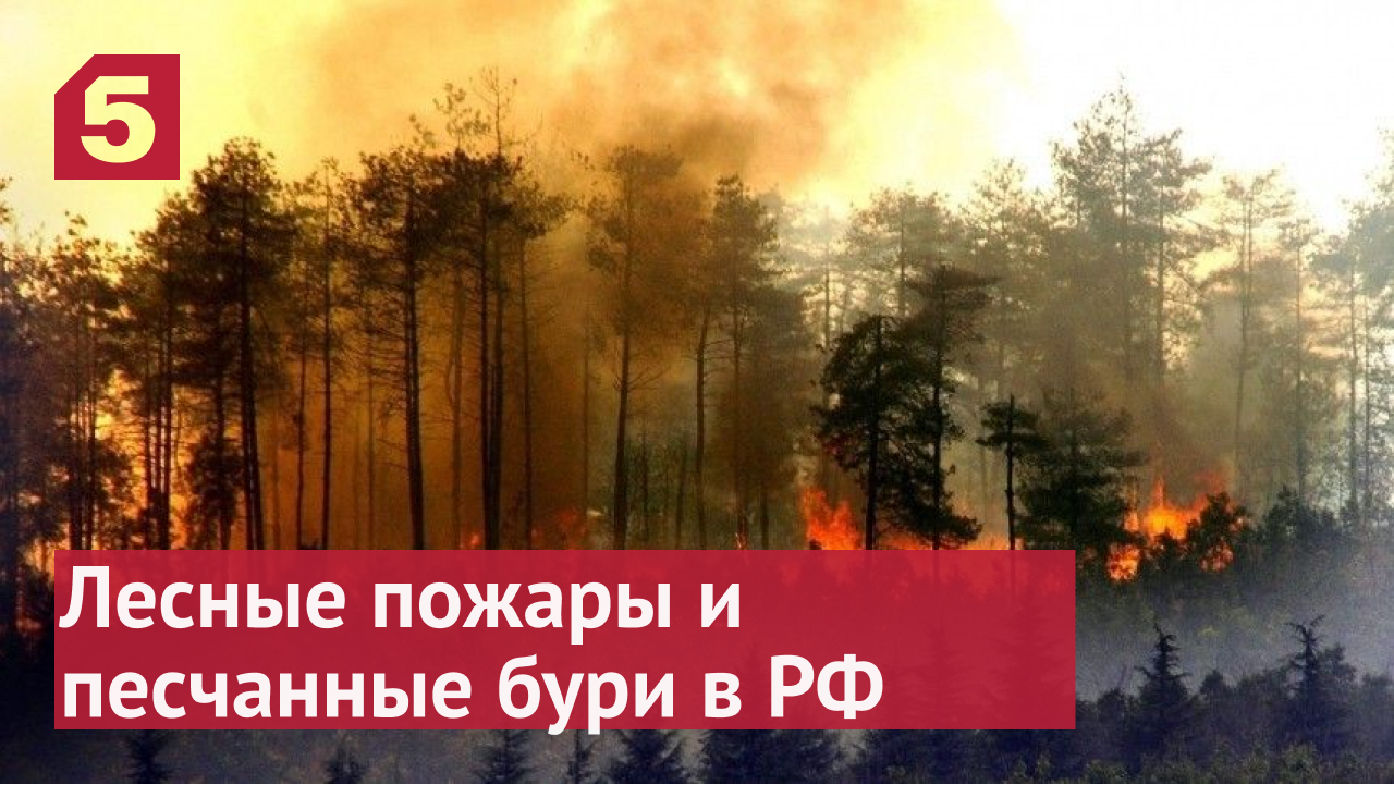 Видео лесные пожары с песчаными бурями обрушились на Россию.