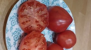 Томат Алиса. Коллекция Светланы Туранчич. г. Киров. Ватсап тел.89229284031