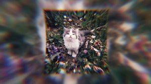 Можно я с тобой? / Ap$ent / speed up / песня ускорена, текст в описании