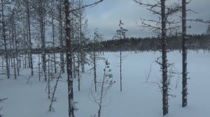 ОХОТА И РЫБАЛКА В ТАЙГЕ / Охота на куницу капканами / Жерлицы на налима и щук / Таежный быт