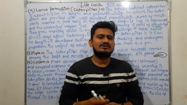 Sericulture | Life cycle of Silkworm | Bombyx mori