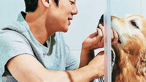 Мой пёс Руни — Русский трейлер (2023)