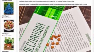 Лимонник Китайский Лазанг СЕМЕНА