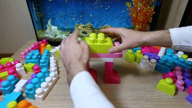 ВЕРБЛЮД из конструктора MEGA BLOKS First Builders смотреть онлайн