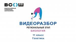 Видеоразбор. Региональный этап 2024. Биология. 11 класс. Генетика