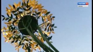Бренды Пензенской области: Скульптурный парк «Легенда»