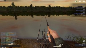 Fisher Online / трофейный карась и две трофейные густеры, пруд Дукора