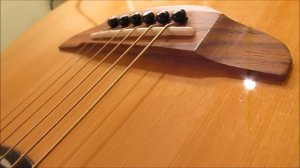 Yamaha APX 500 II Acoustic Review