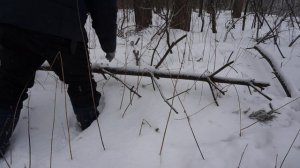 Поход в землянку Лесного Строителя. Нашел логово волков!?