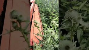 Сеялка зернотравяная механическая Farmmaster СЗМ-400Т экспресс-обзор от Владислава Перегудова