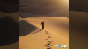 Одинокий странник потерял свою дорогу