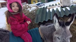 ОЙ#МОРОЗ#МОРОЗ И ОСЛИК ВАСЯ#