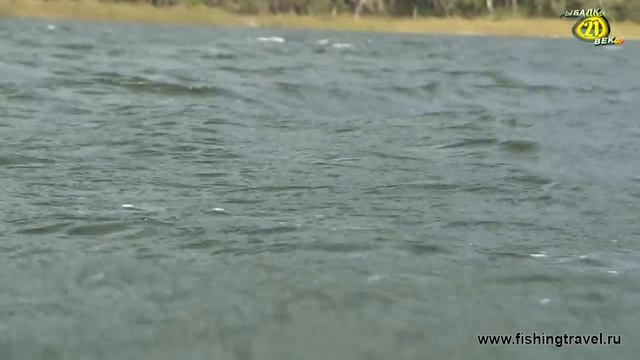 Клуб рыболовных путешествий. Куба часть первая. смотреть онлайн